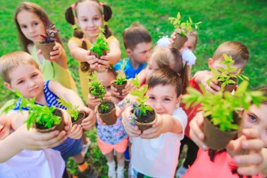 Crianças da educação infantil cuidando do Meio Ambiente.
