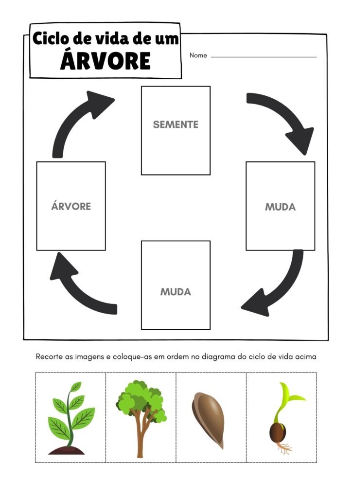 Atividades do Dia da Árvore - 1º ano 