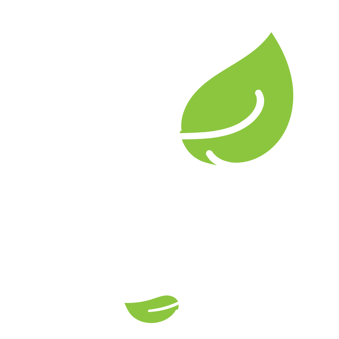 Dia da árvore