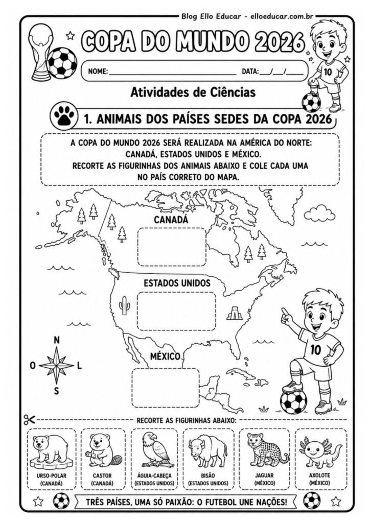 Atividades da Copa do Mundo 1° ano