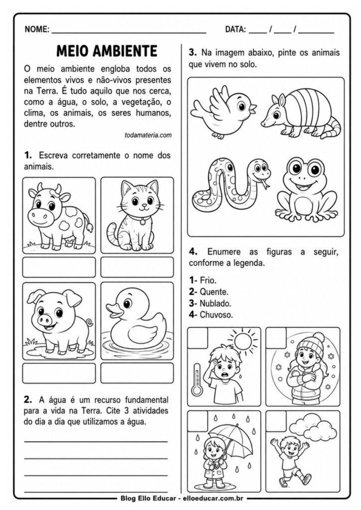 Atividades sobre Meio Ambiente 1° ano