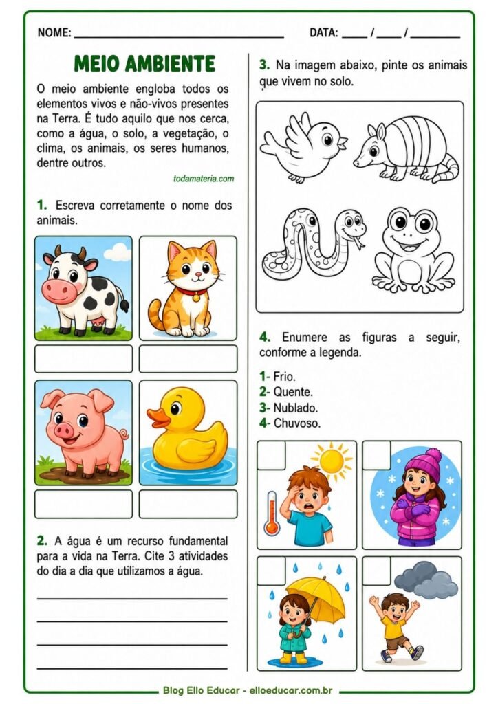 Atividades sobre Meio Ambiente 1° ano